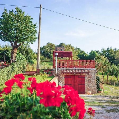 La Finestra Sul Castello Apartment Arcidosso Bagian luar foto